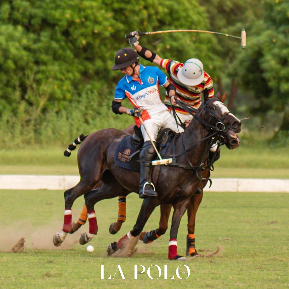 lapoloindia's tweet photo. They came. They rode. They conquered.

The Chinkara Championship saw Jaipur Polo Team script the perfect ending to a spectacular week of sport.🏆

#fypシviral #lapolo #jaipurpoloseason2025 #TrendingNow https://t.co/6ynKKvMXRU