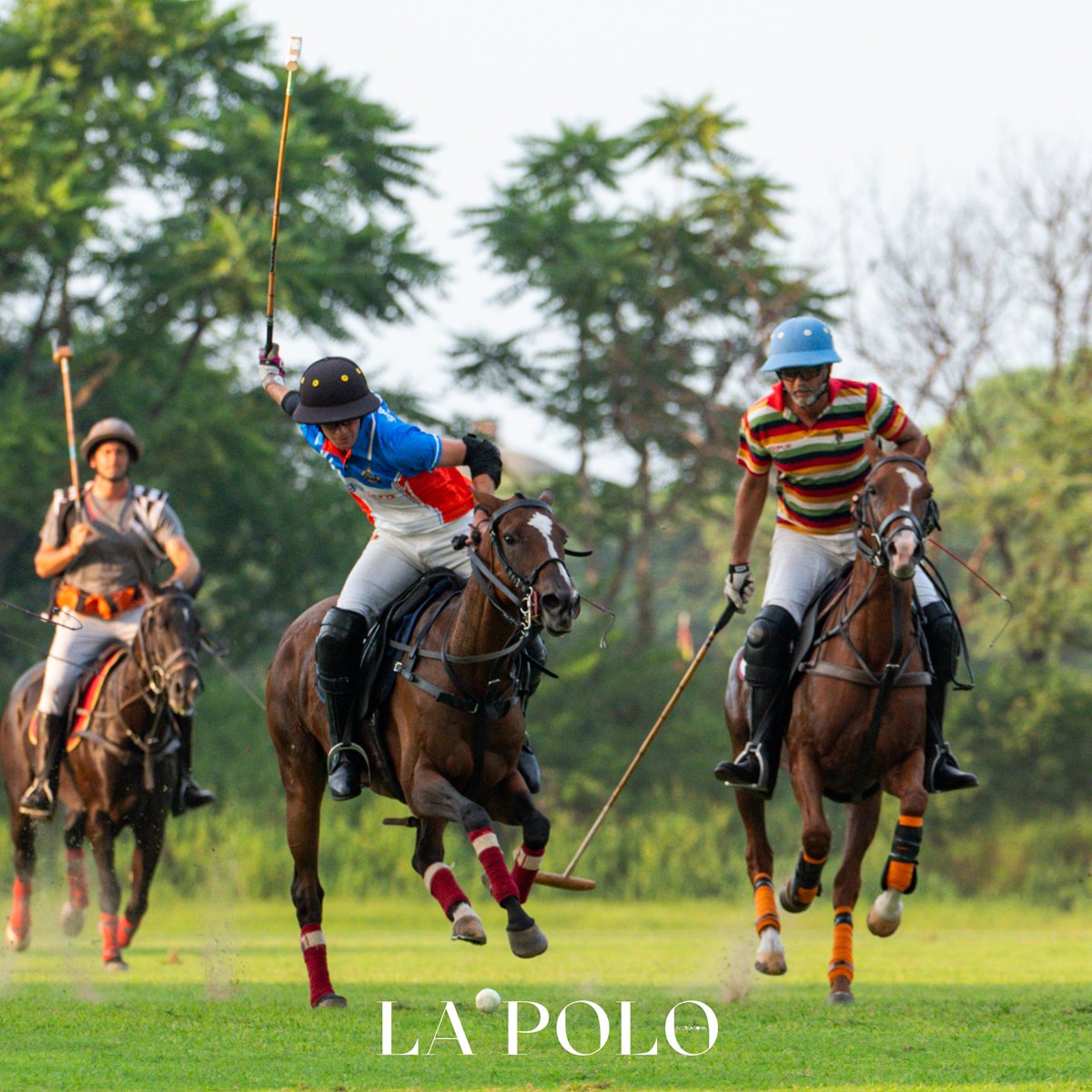 lapoloindia's tweet photo. They came. They rode. They conquered.

The Chinkara Championship saw Jaipur Polo Team script the perfect ending to a spectacular week of sport.🏆

#fypシviral #lapolo #jaipurpoloseason2025 #TrendingNow https://t.co/6ynKKvMXRU