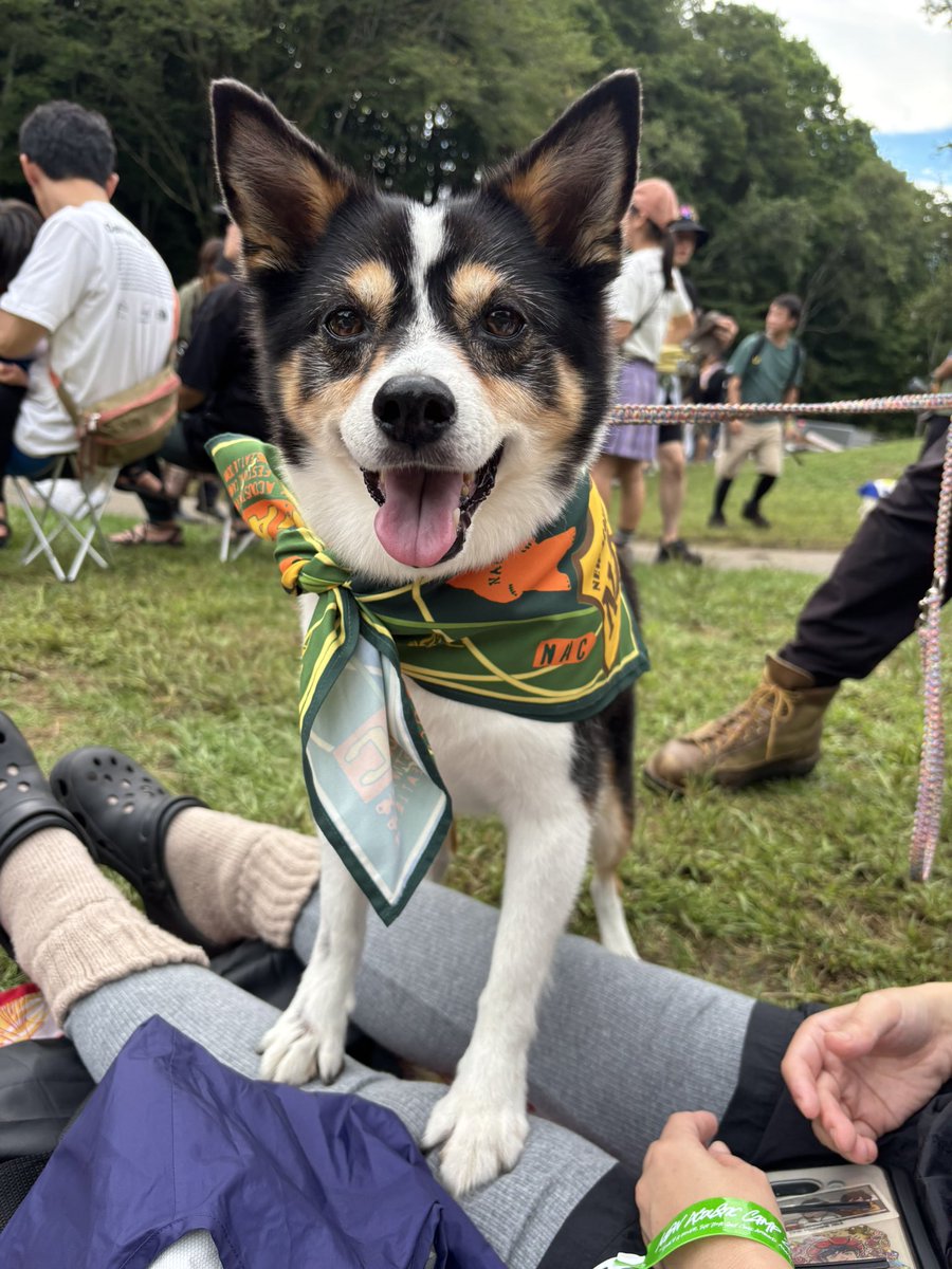 今年もニューアコ行ってきたよ！
#nac
#ニューアコ