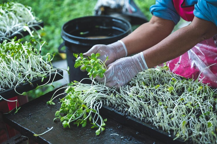 Farmers Mag South Africa tweet media