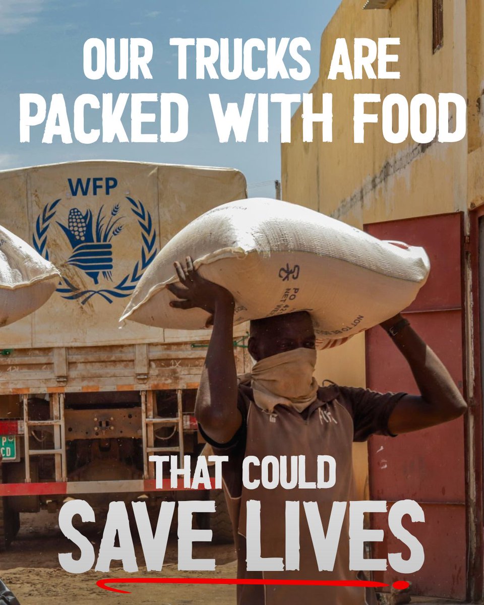 No food aid has entered El Fasher, #Sudan in over a year.

Families have been receiving cash transfers, but we need to get food supplies in.

WFP has received clearances from Sudan’s Humanitarian Aid Commission, but RSF has yet to communicate support for a humanitarian pause.