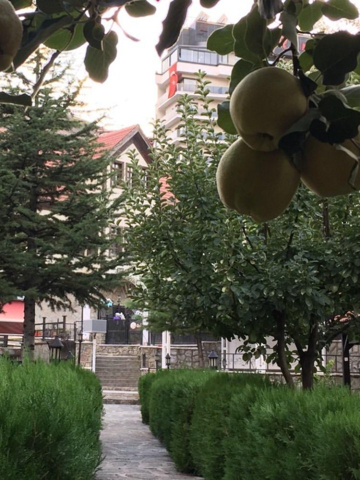 Günaydın 🌞
Hayırlı, huzurlu, neşeli ve mutlu sabahlar 🦋🌺☕️🍃

#Karadeniz
#Gümüşhane
#BalyemezKonağı