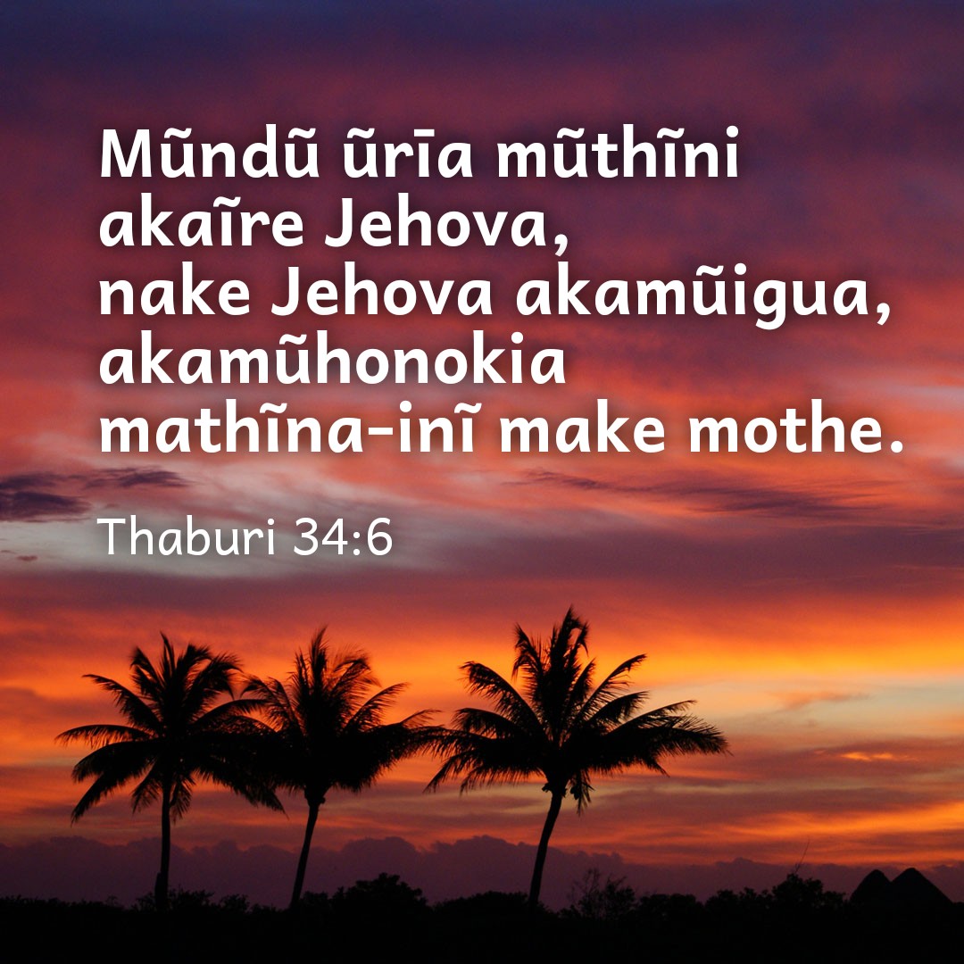 GeithikaM's tweet image. 