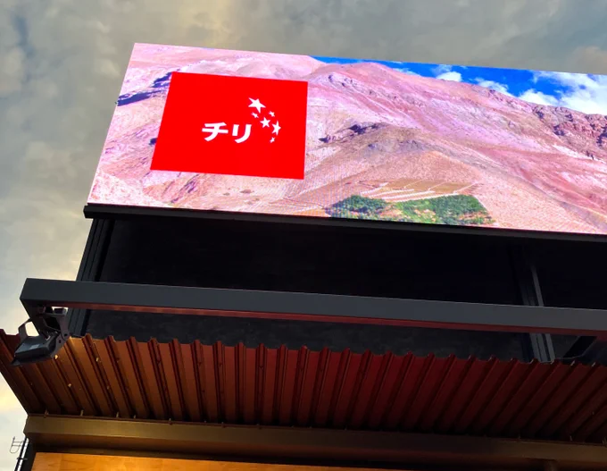 めちゃ強リュウ使いのBlazの出身国なのでチリ館も行きました ワイン試飲の会を横目にかっけえ織物を見てきた マスコット?のペンギンかわいかった 