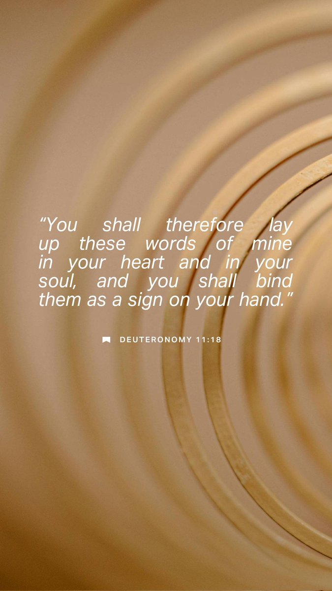 bible.com/verse-of-the-d…