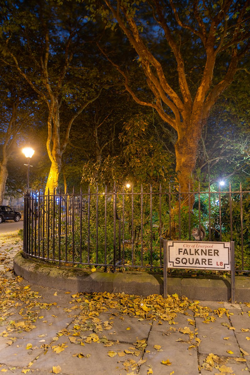 Liverpool Vista tweet media