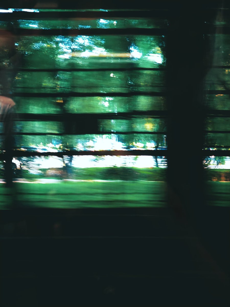 性感猫猫头 tweet media