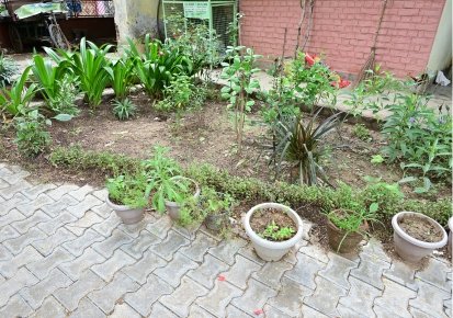 MCF_Faridabad's tweet photo. ๐ฟ Faridabad is proud of changemakers like Eco Savera - driving waste segregation, composting & zero-waste habits. ๐
๐ We need more NGOs & partners to join hands for a cleaner, greener, healthier Faridabad.
#EcoSavera #FaridabadForSwachhta #GreenPartners https://t.co/7oMhA184cd