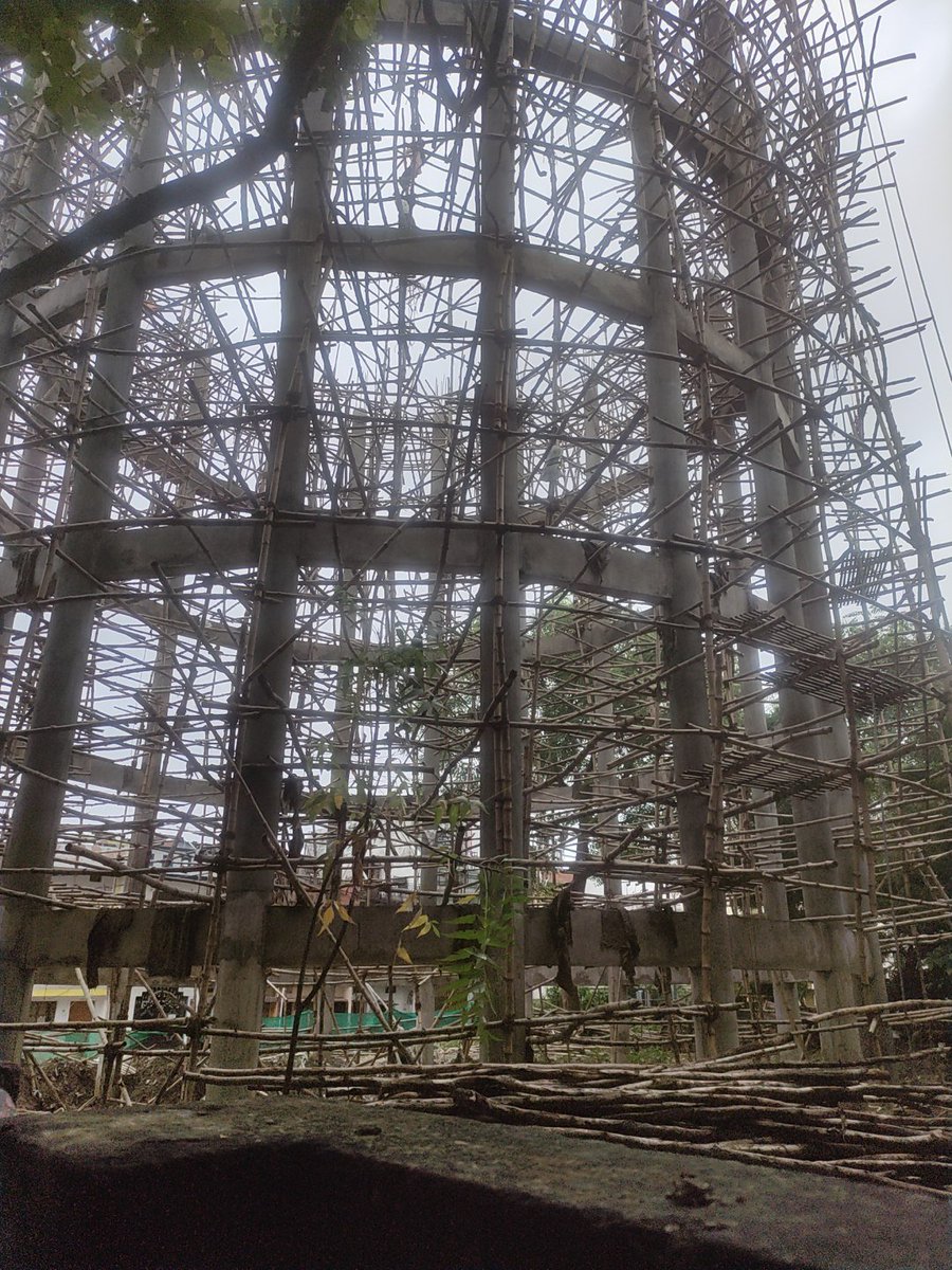 Nature_greedy's tweet image. Some random click........ 
#tree 
#structure