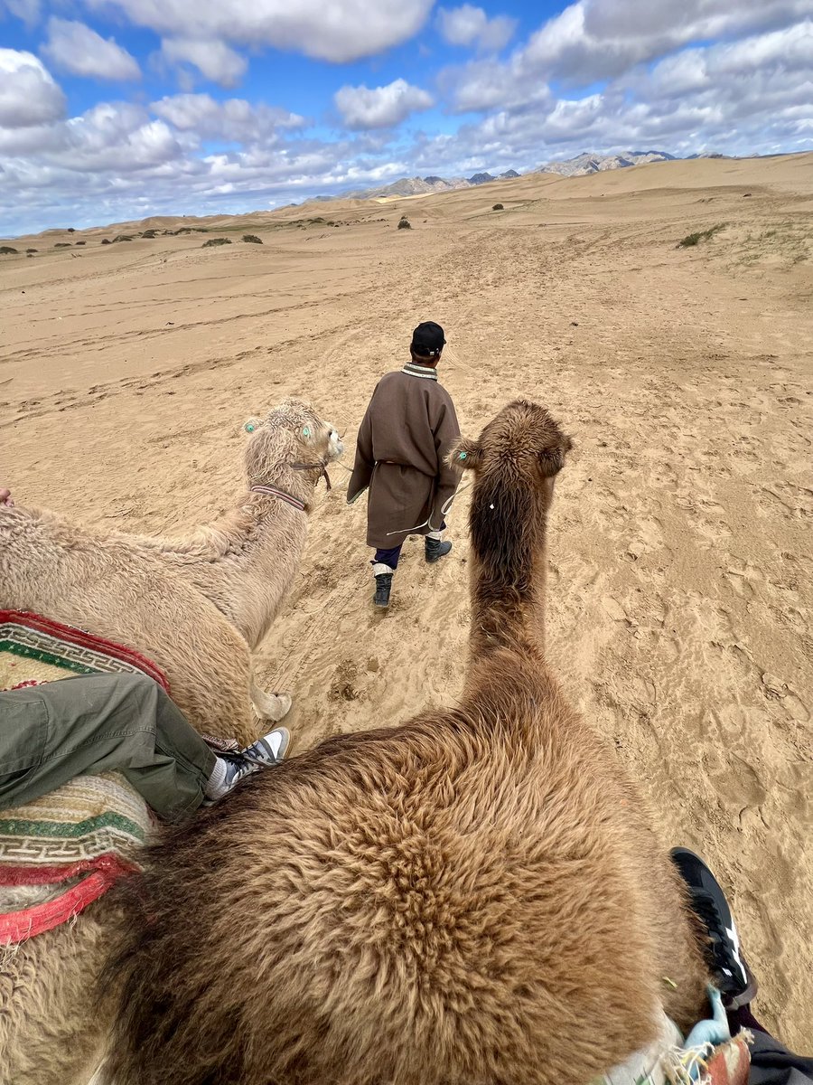 Hanging out with the camels of Mongolia. Turns out they’re just like big dogs — they like getting head and neck scratches, too. So happy to tick this off my bucket list! 🐫🇲🇳