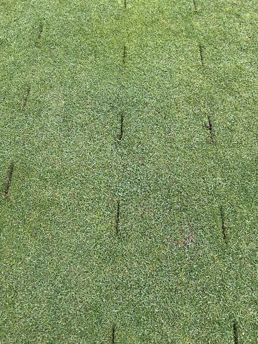 Allan Donlevy tweet media