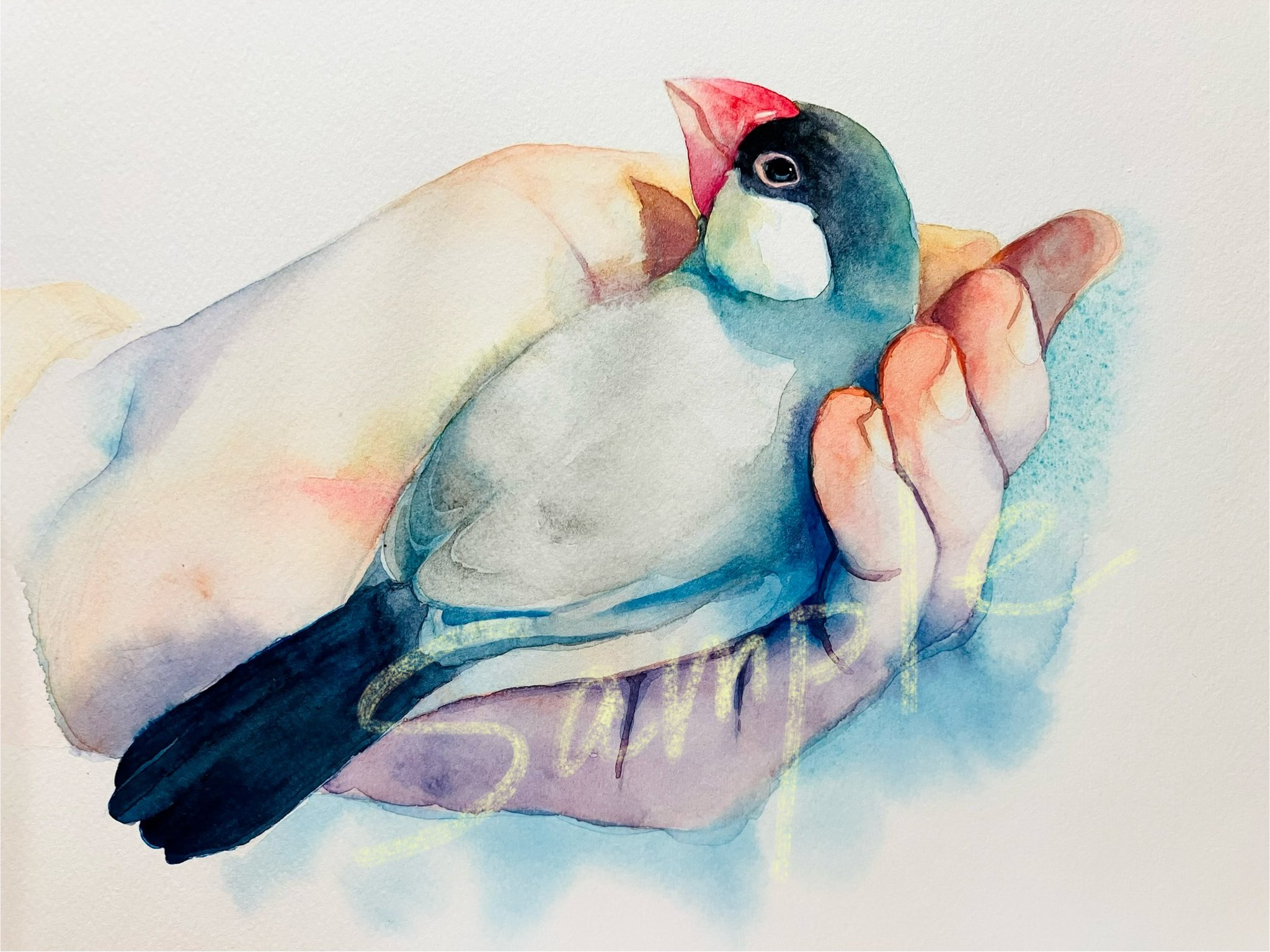 水彩画「おし鳥夫婦」 水彩画「おし鳥夫婦」 水彩画「おし鳥夫婦