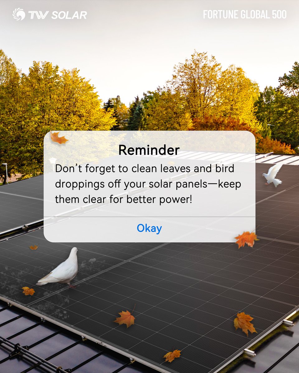 Tongwei_Solar's tweet image. 🍂🐦 Reminder for Solar Owners
Autumn leaves and bird droppings may look small, but they can block sunlight, reduce efficiency, and even damage your panels.

✨ Keep your panels clean and clear — so every ray of sunshine works for you! ☀️⚡

#TongweiSolar #TNC2_0 #SolarTips