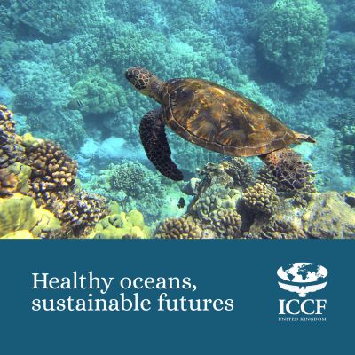 Healthy oceans = healthy economies

Oceans sustain 3Bn people but face rising threats from IUU fishing and habitat loss.

ICCF UK supports Parliamentarians in driving UK leadership on marine protection 

 #MarineConservation #BlueEconomy #ICCFUK