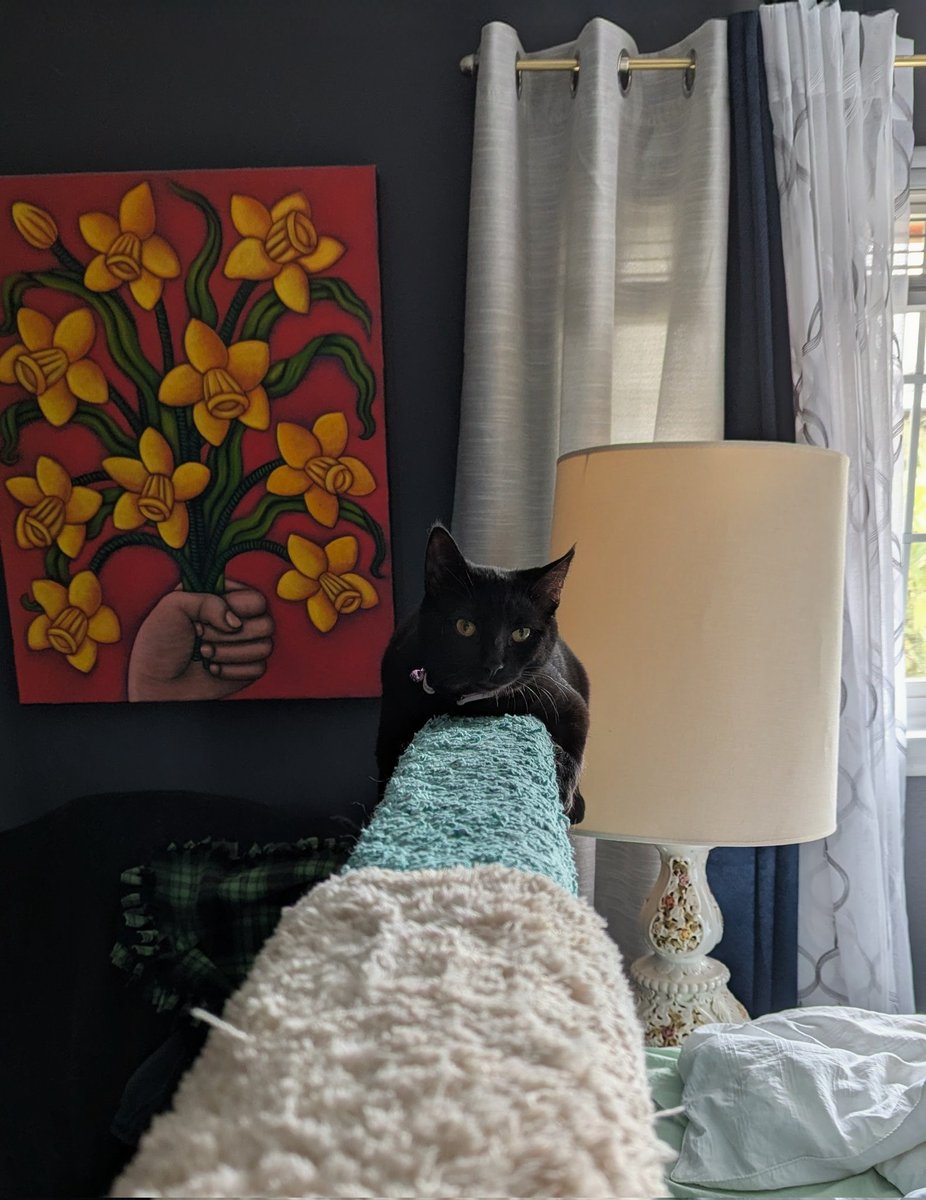 SatNightSoup's tweet image. Baby Misha. Almost 11 months old. She is sitting on the headboard rail in the master bedroom. 

Every morning when I wake up and go upstairs, she starts headbutting and rubbing my calves and ankles. I pick her up, kiss her and talk to her, and she starts purring. My ebony doll.🖤