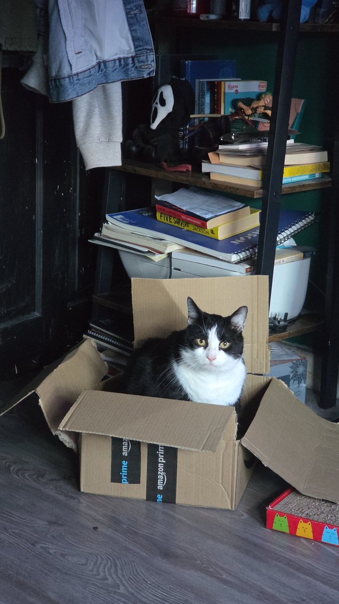 Cody 🌻🍉 tweet media