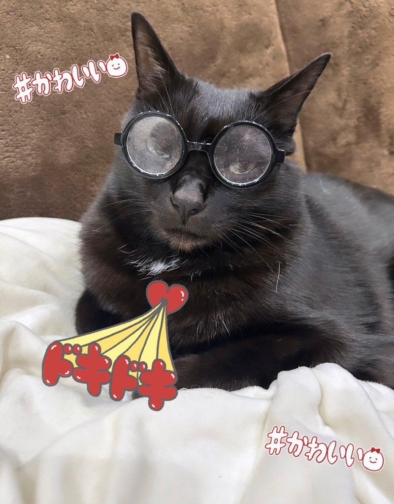 🍒💕 tweet media