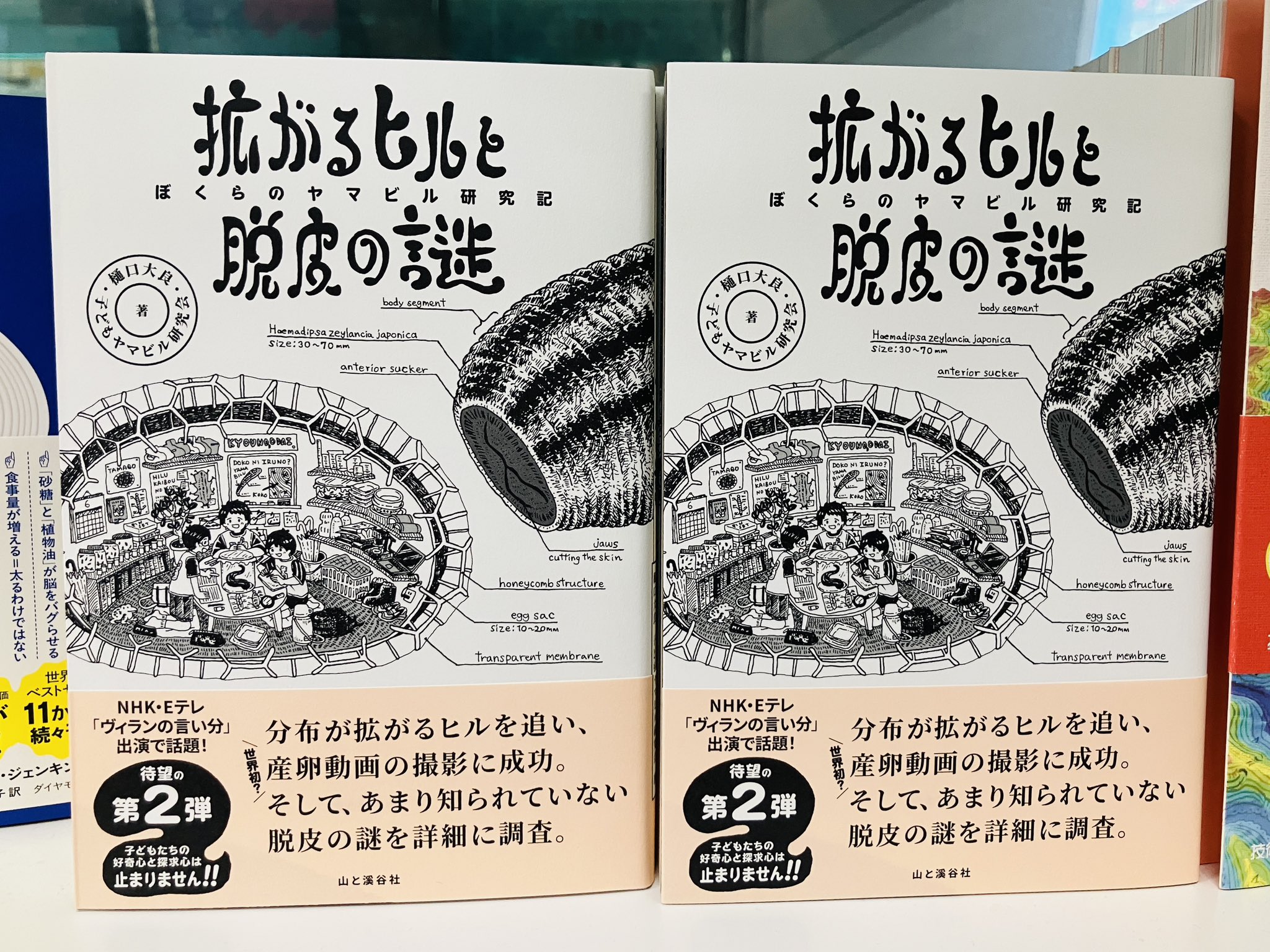専門書「宴会料理大全」シグマ企画 発行 ジュンク堂書店池袋本店 on X: 