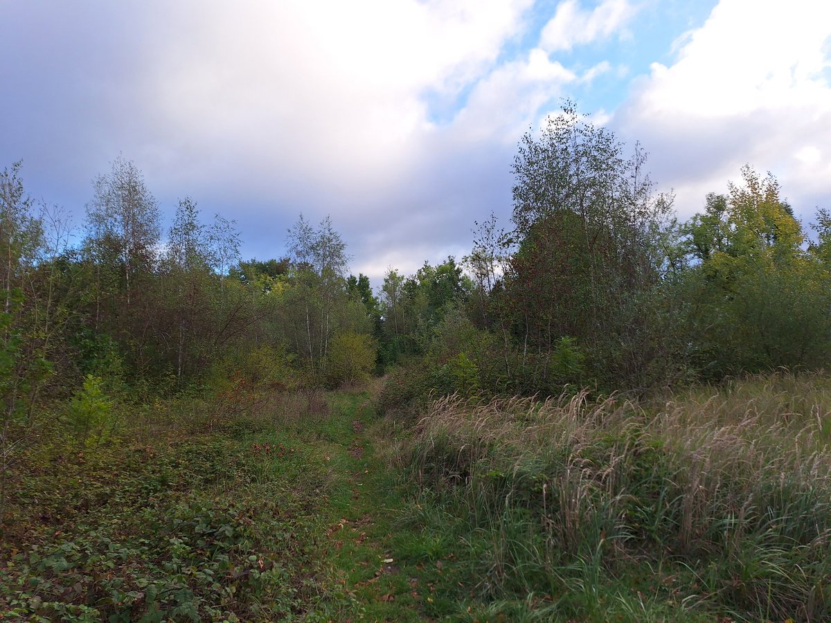 Susanne Verberk tweet media