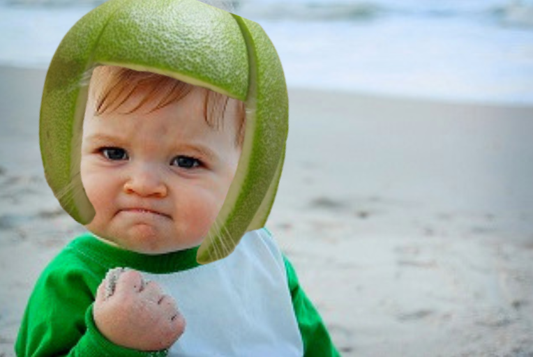 Lime Cat tweet media