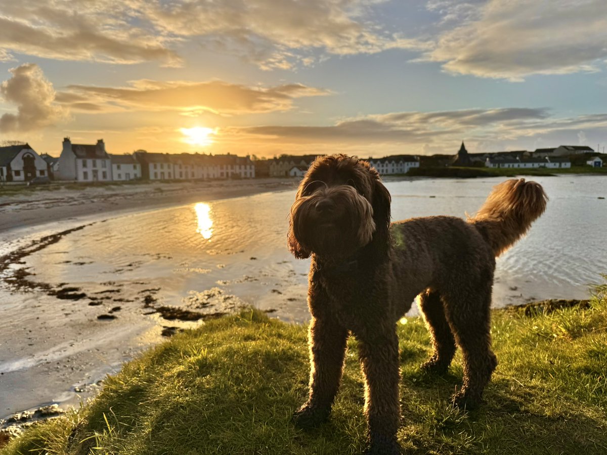 Lovely start to the day in #PortEllen #Islay.