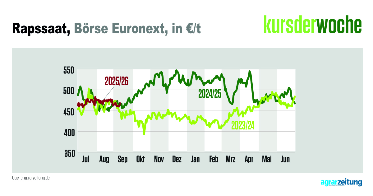 Die #Rapssaat in Paris hält sich derzeit in einem schmalen Preisband zwischen 460 und 482 €/t. Im vergangenen #Wirtschaftsjahr war der Kurs stets an der 550er-Marke abgeprallt. Die Futures lassen kaum Veränderungen erwarten.