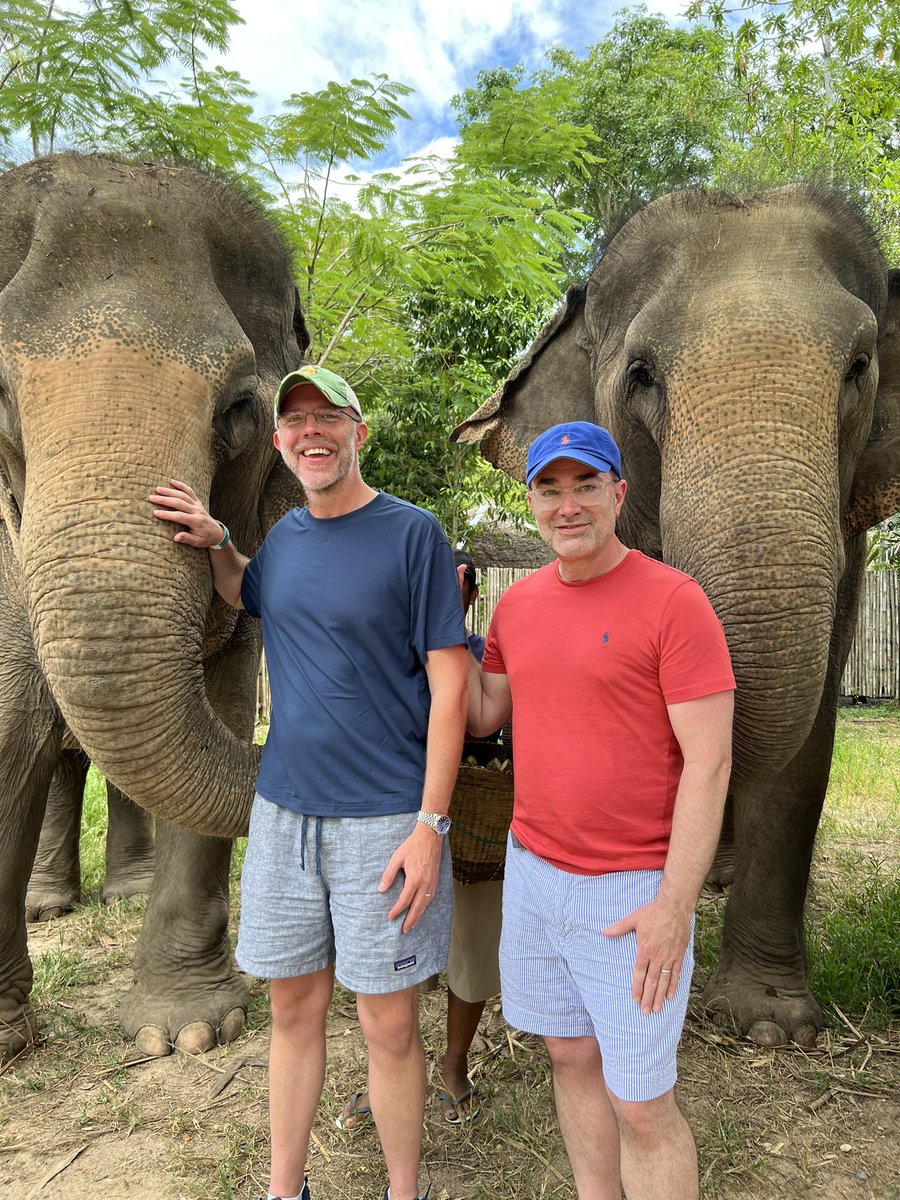 Shane Williams tweet media