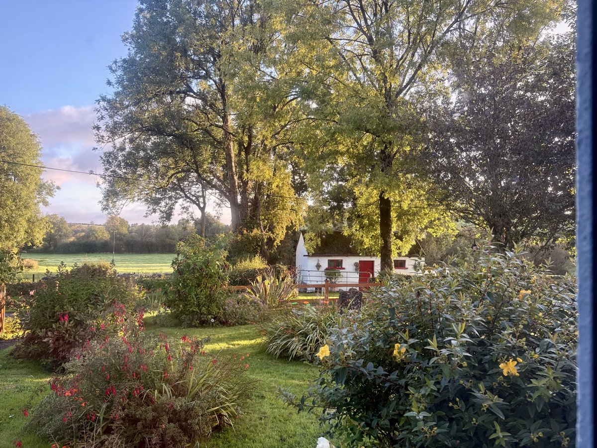 mtully21's tweet image. #ViewFromTheWindow
What a gift of a morning! Garden getting ready to rest and recharge…. A metaphor for Life… we all shine brightly for as long as we can… but we must rest and recharge too.

#ThisIsCavan

And it is Good….