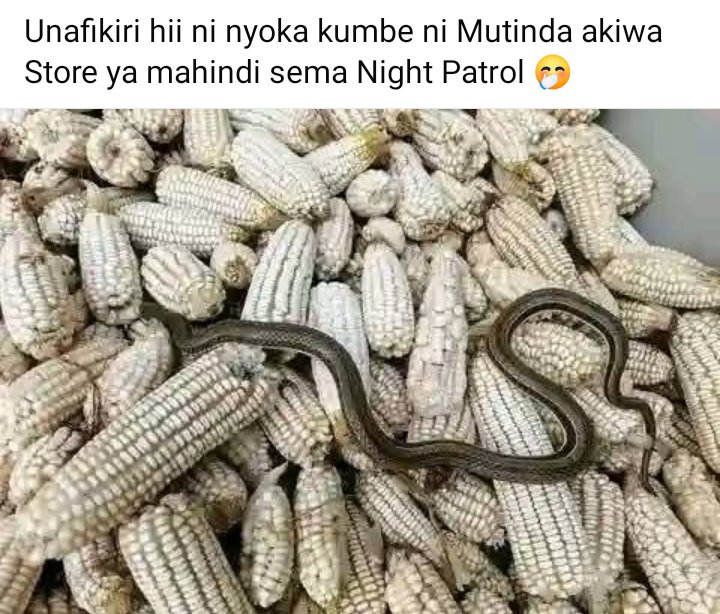 Watu wengine hamtaona mbinguni 😂😅😅