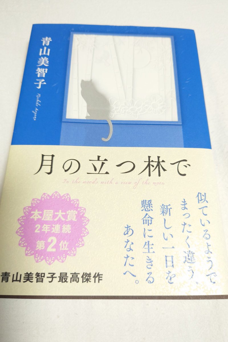 新月の「見えない」けどちゃんとある。印象的な1文でした。月は毎日姿を変え必ず変える。輝いては消える。見えなくてもいつでもそこには必ず月はある。降り注ぐ月明かりもあれば、光が無い夜もある。この作品に出会えて夜空を眺める機会が増えました♪
#ツキタツのツキない話