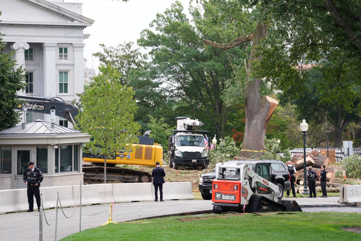 Andrew Leyden tweet media