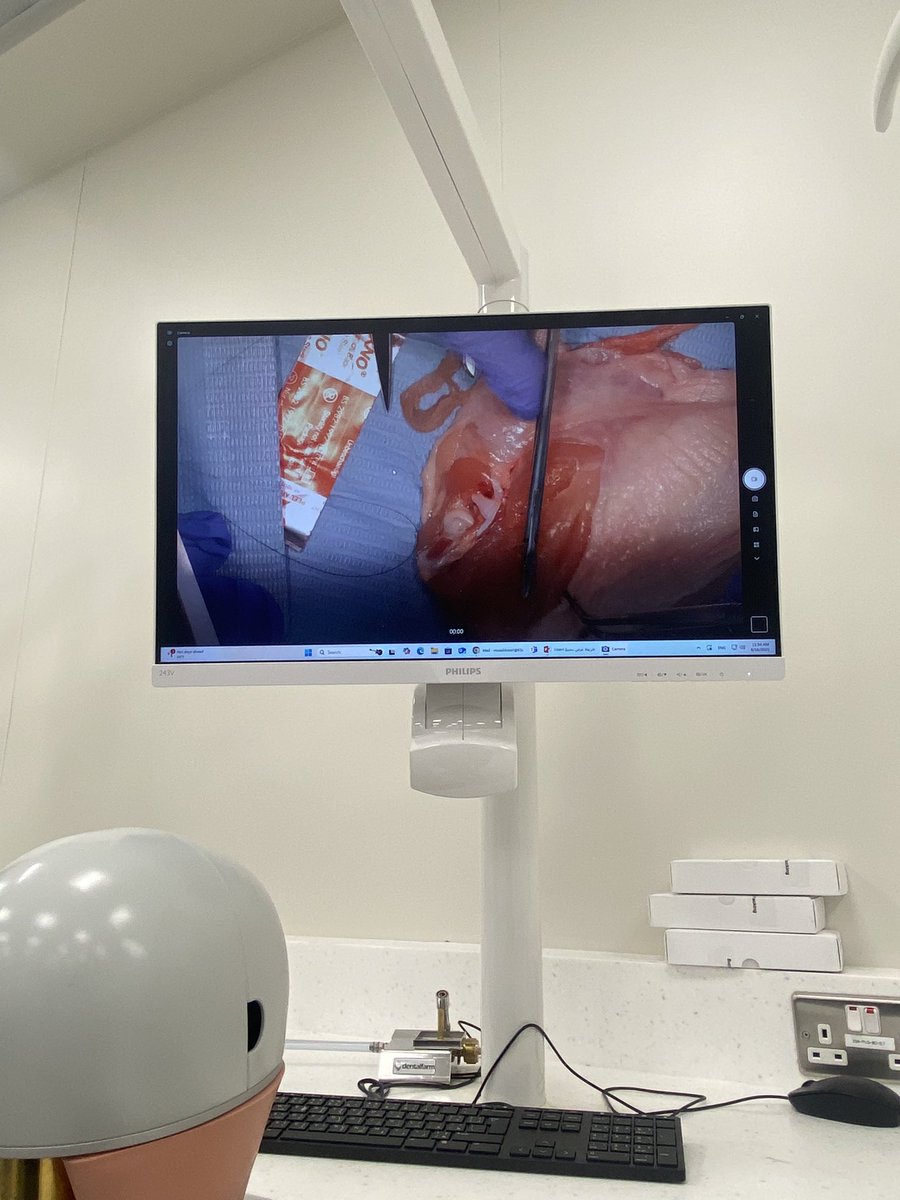 محمد خرِف. tweet media