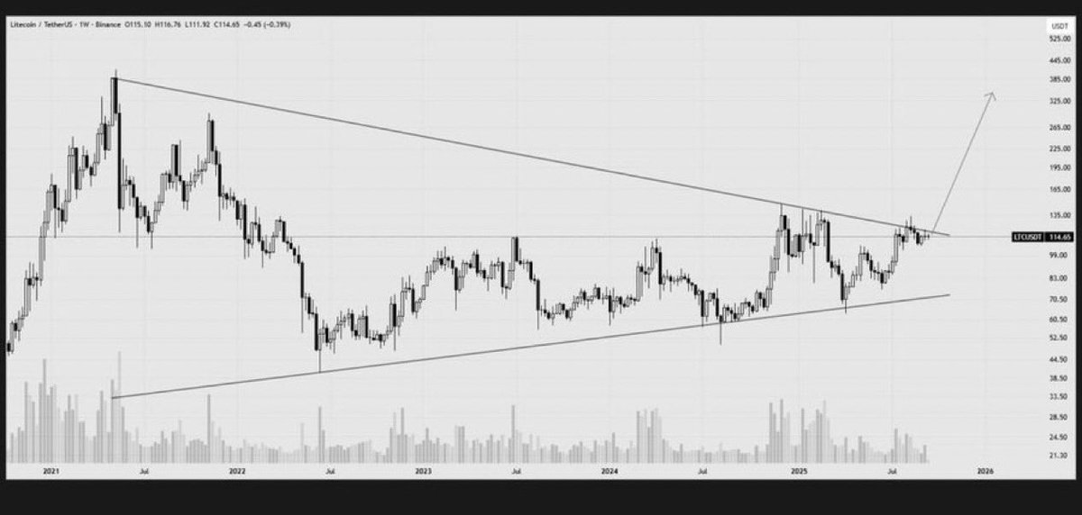 Jonny Mitchell tweet media