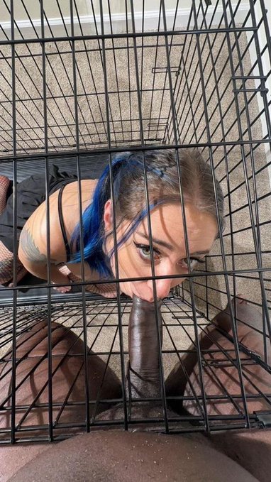 In the BNWO world, there’s only one place for white slaves....
locked in a cage.