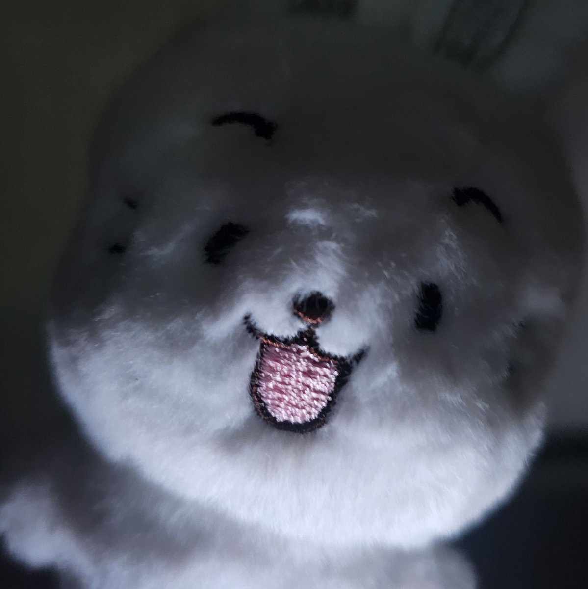 진짜 큰일날 거 같음