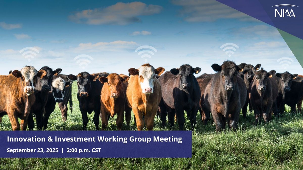 Join us on September 23 to hear more about NIAA's Innovation and Investment Working Group's proposed project to draft an Ag Tech in Animal Agriculture Road Map. Learn more and register here. >> ow.ly/W6wu50WWUN4
