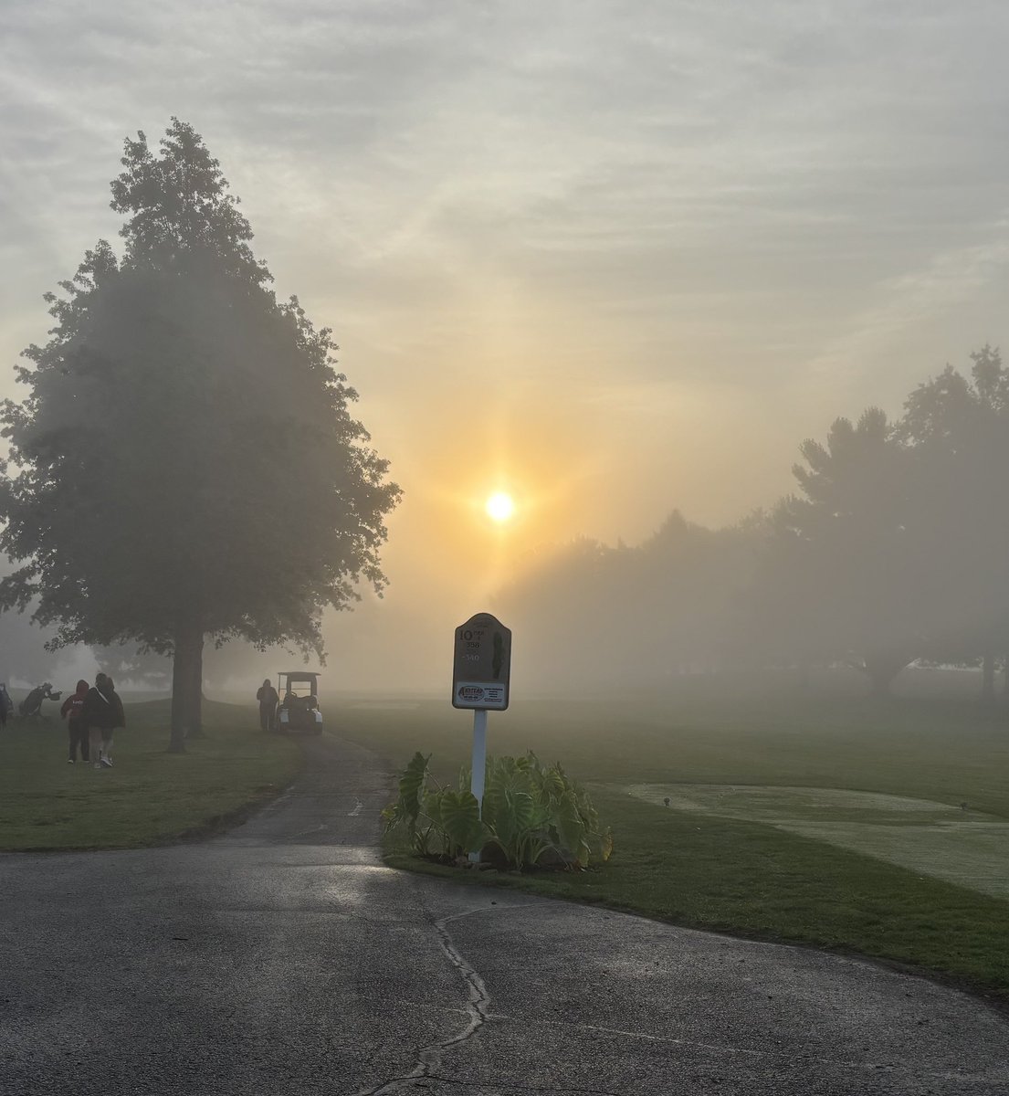 RHS Girl's Golf tweet media