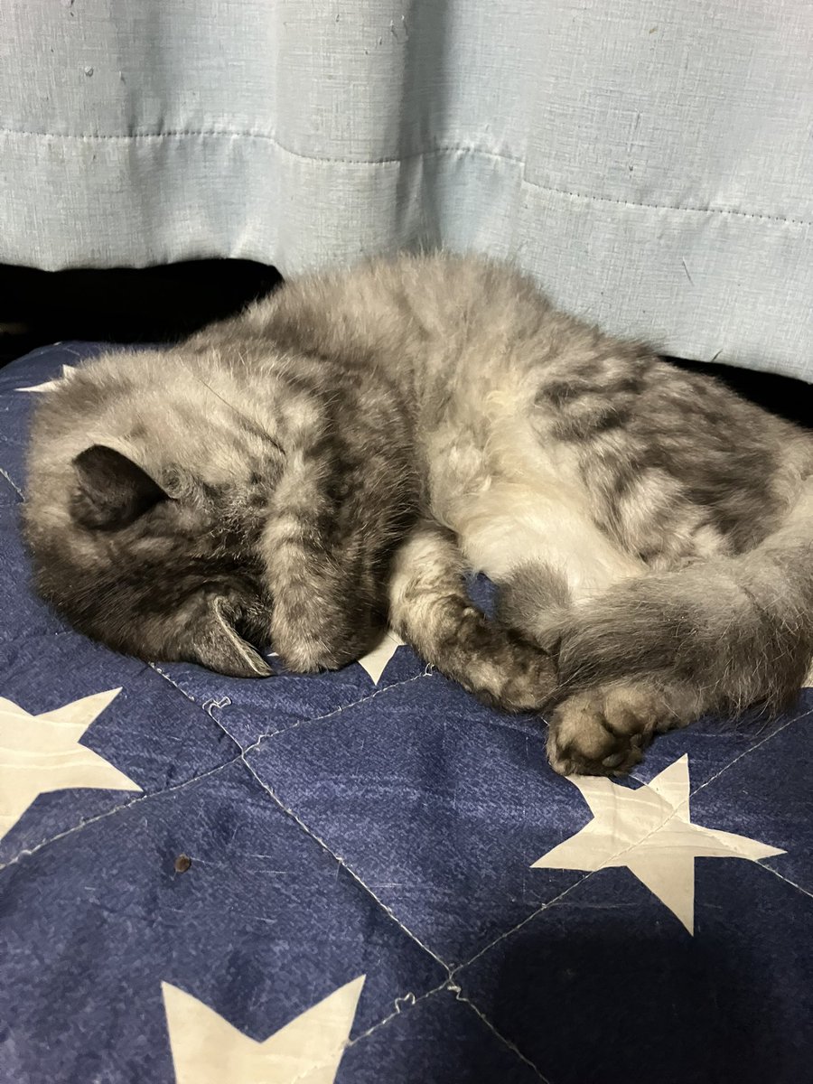 熟睡の民
野宿も狩りもそろそろラストシーズン🤫