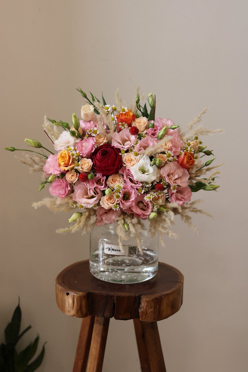 مدل «کویین / Queen» 🌞