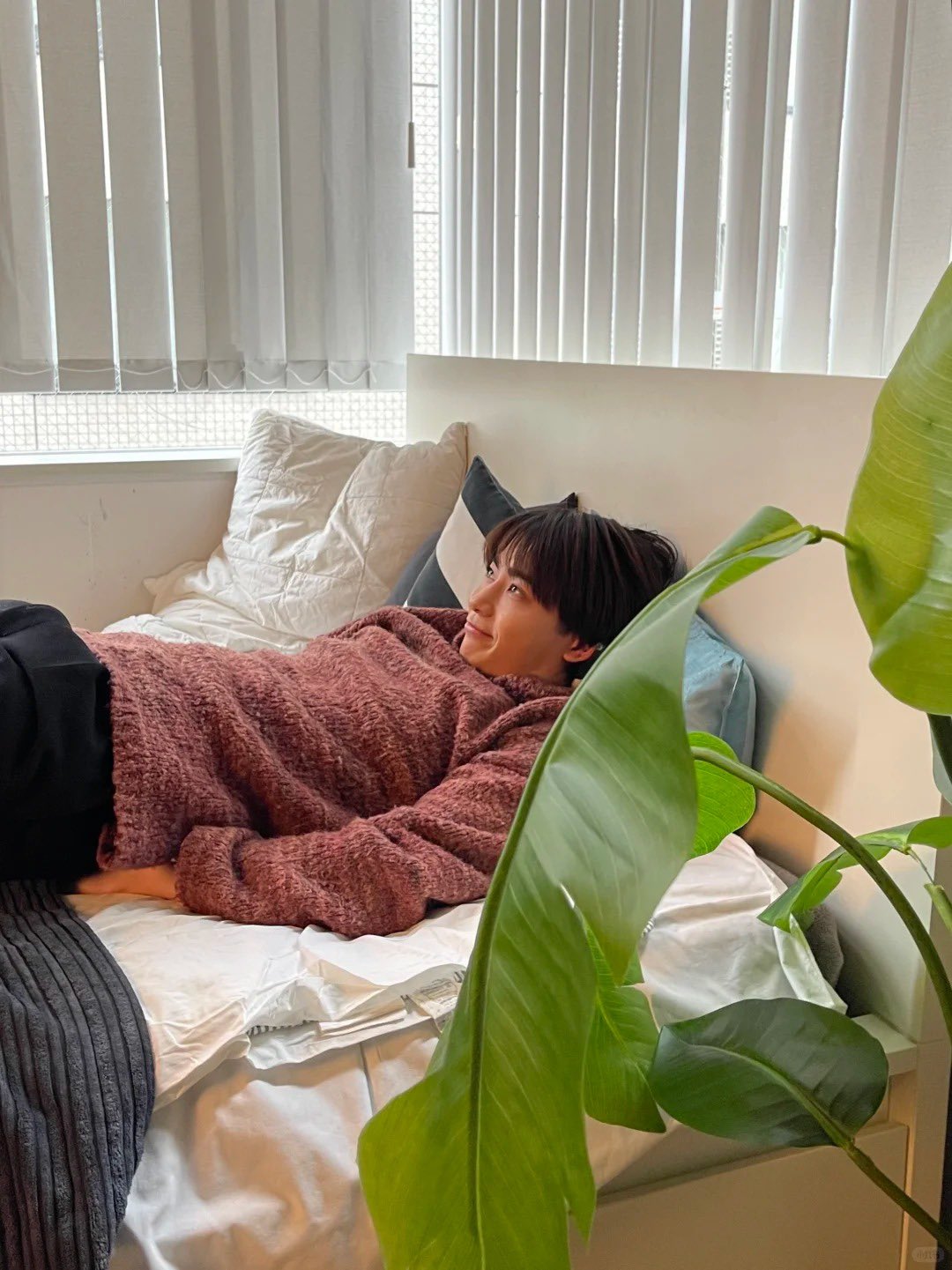 豊田裕大 写真展 ポストカード 豊田裕大 メンズノンノ 特典 ポストカード men'snonno - メルカリ