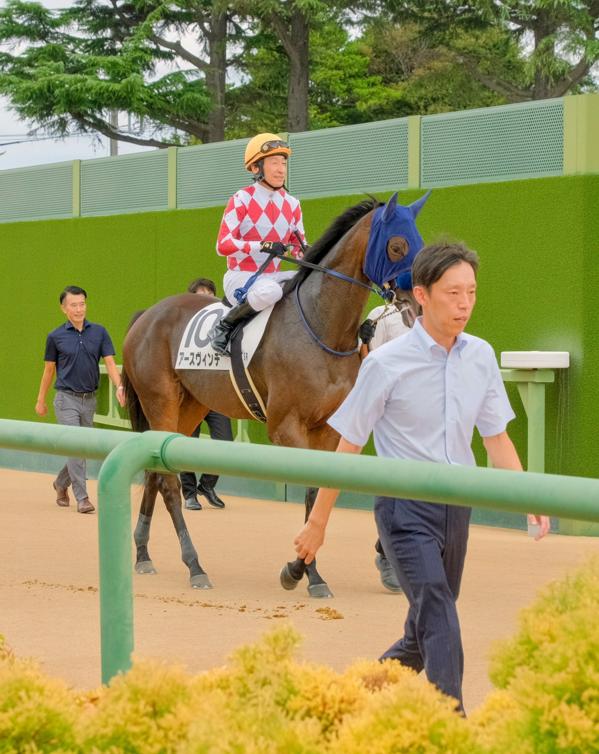 ⵐ夕サ卜➼➹ (@kst327) / X