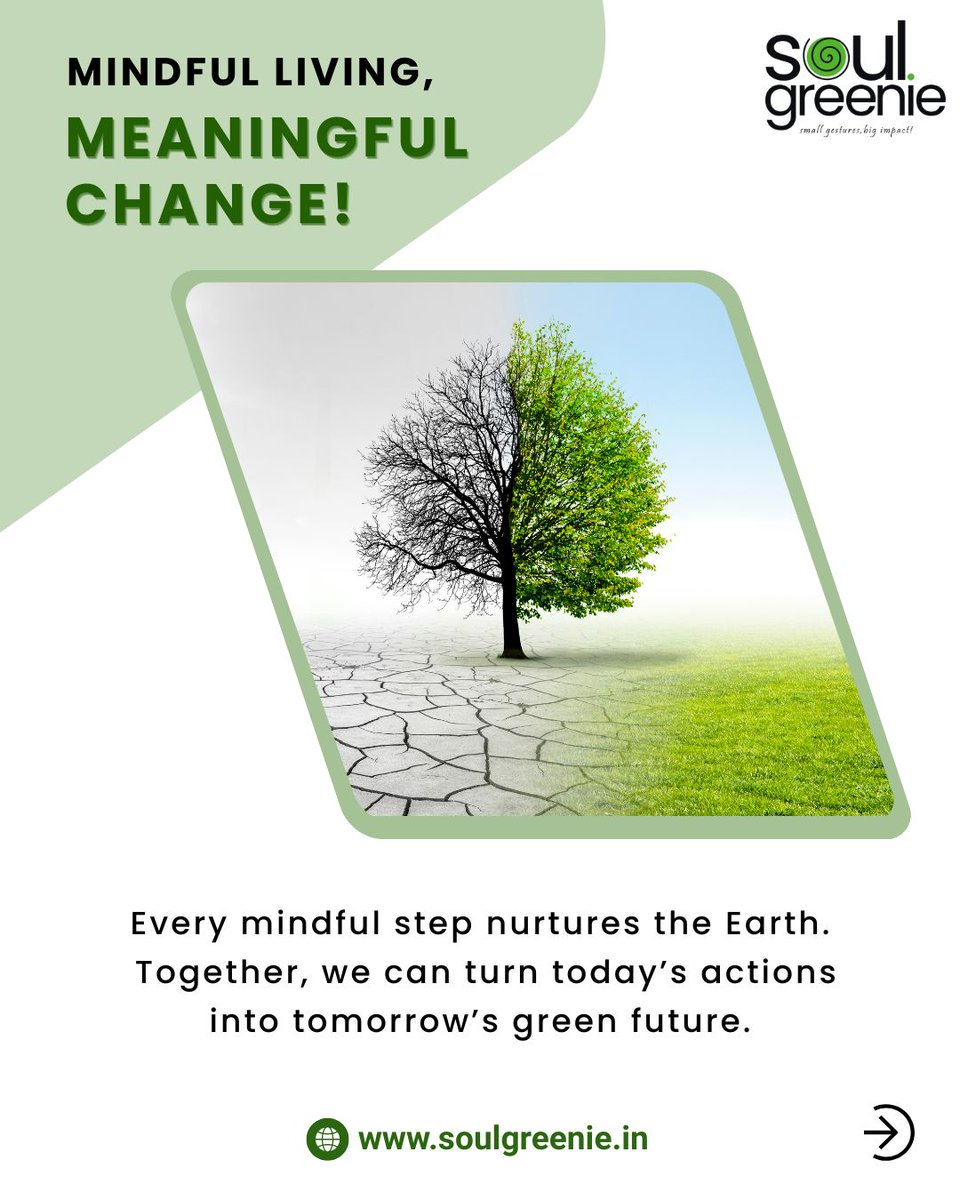 SoulGreeni34115's tweet image. Choose a lifestyle that makes a difference SoulGreenie’s planet-positive products inspire nature-first living and mindful choices. Every thoughtful step counts toward a greener tomorrow.

#LifestyleMeetsNature #SoulGreenie #PlanetPositive #EcoConscious #MindfulLiving #Sustainable