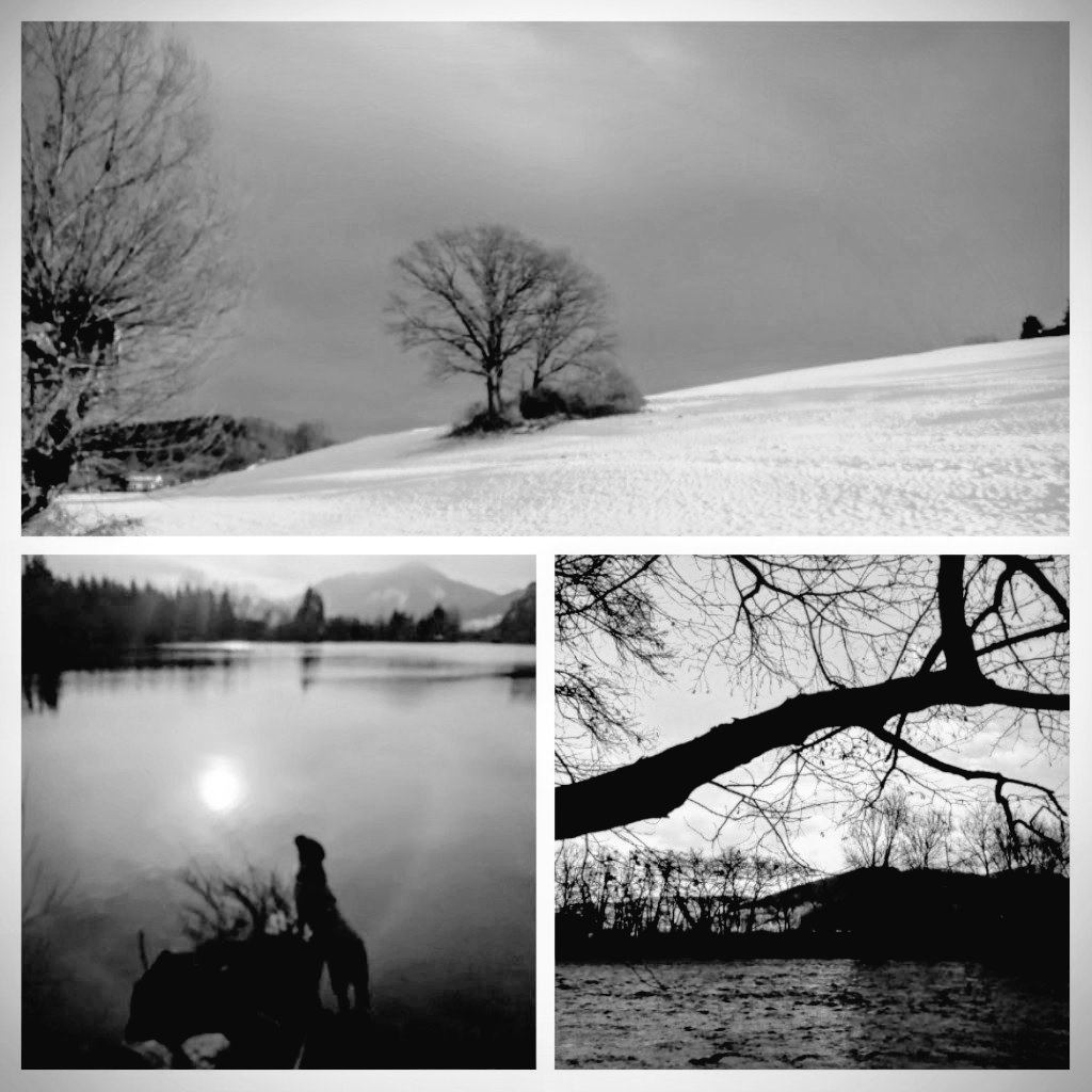 dieleserin2's tweet image. My tears are like the quiet drift 
Of petals from some magic rose; 

And all my grief flows from the rift  
Of unremembered skies and snows

#DylanThomas
#Mood