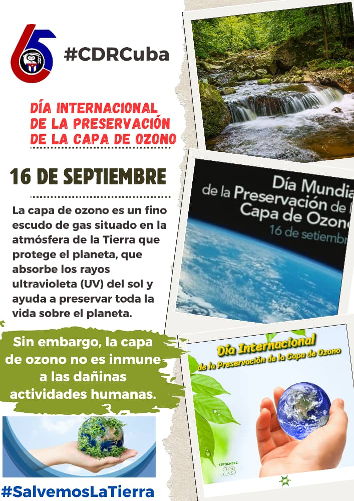 Leonellys Martínez Chacón (@leonellysmartn1) on Twitter photo 