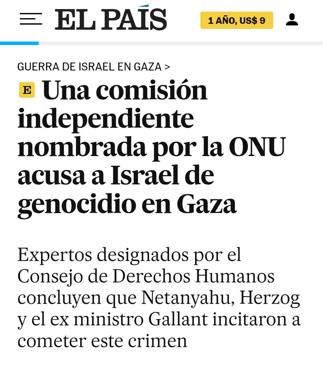 SinanPacha tweet media