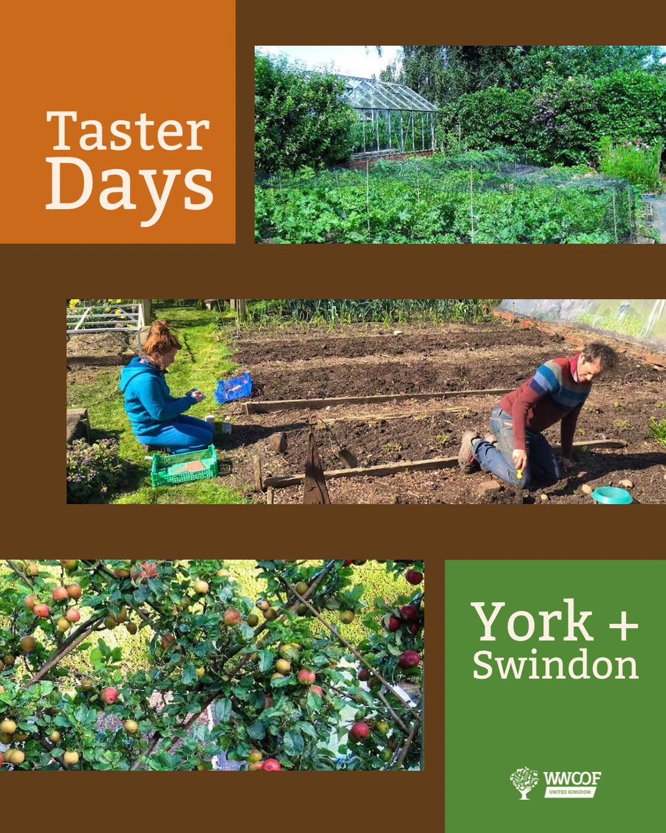 WWOOF UK - Membership Organisation & Charity tweet media