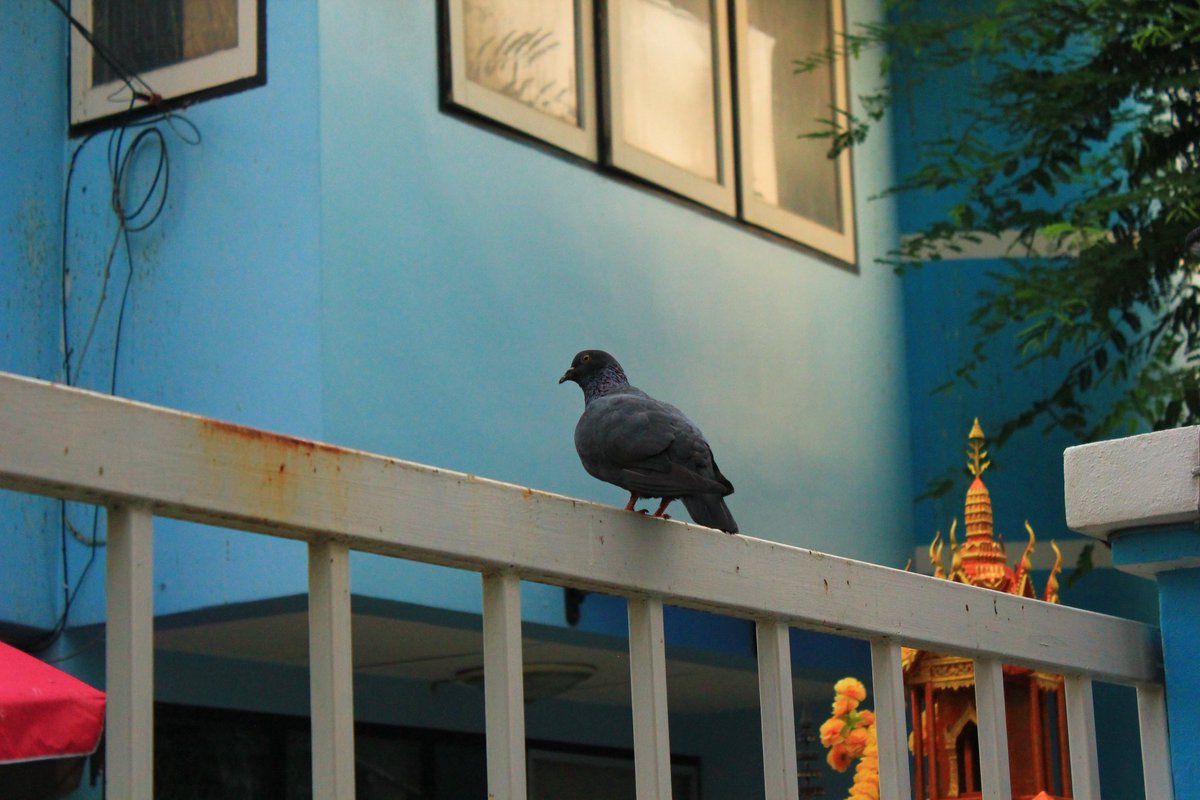  ݁ ᅠ ᅠᅠ 𝒫’orcelain . tweet media