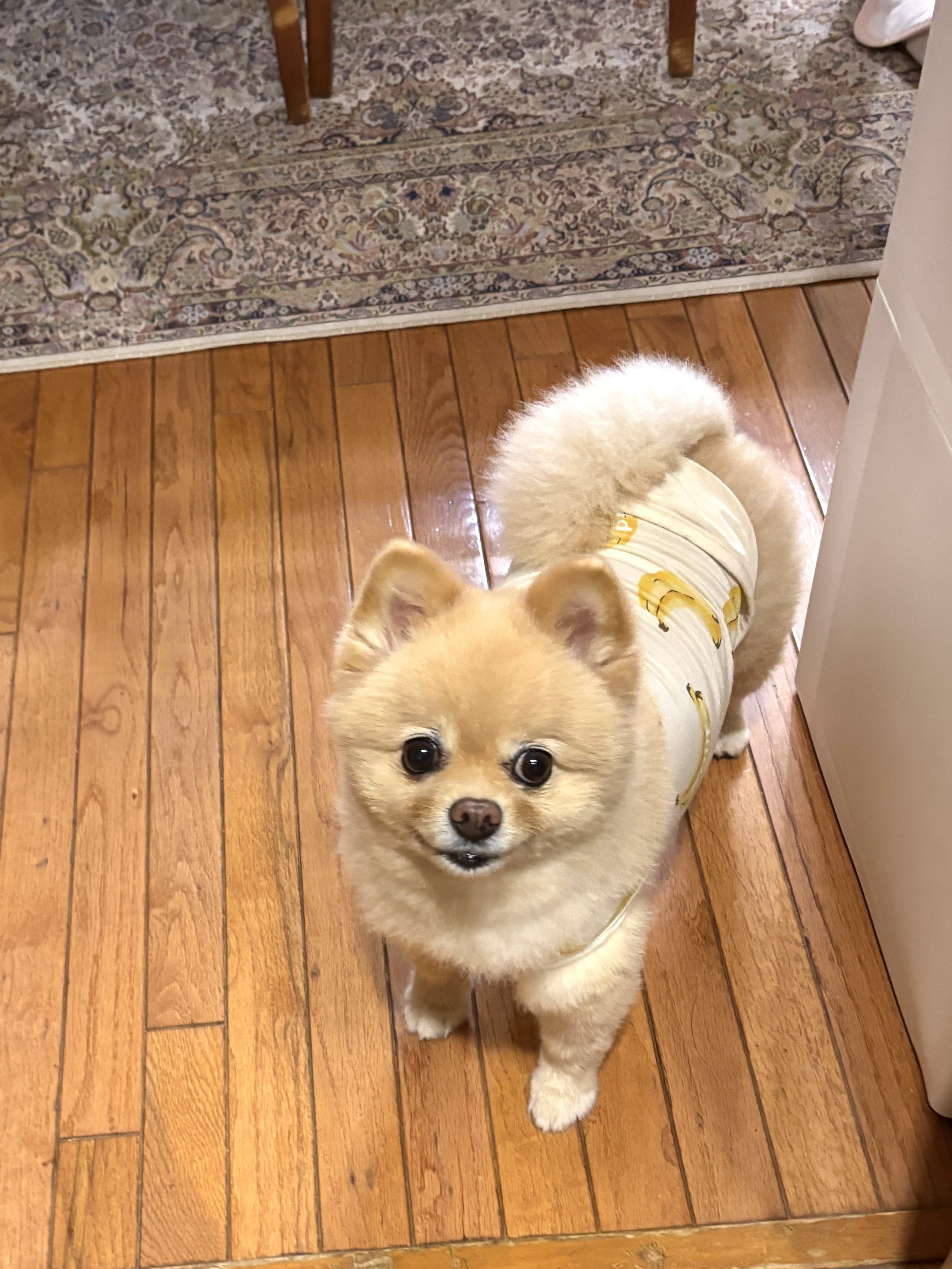 meme⭐︎プロフィール確認お願いします　0825 FLICK_IWIN (´◉▽◉` ) on X: 