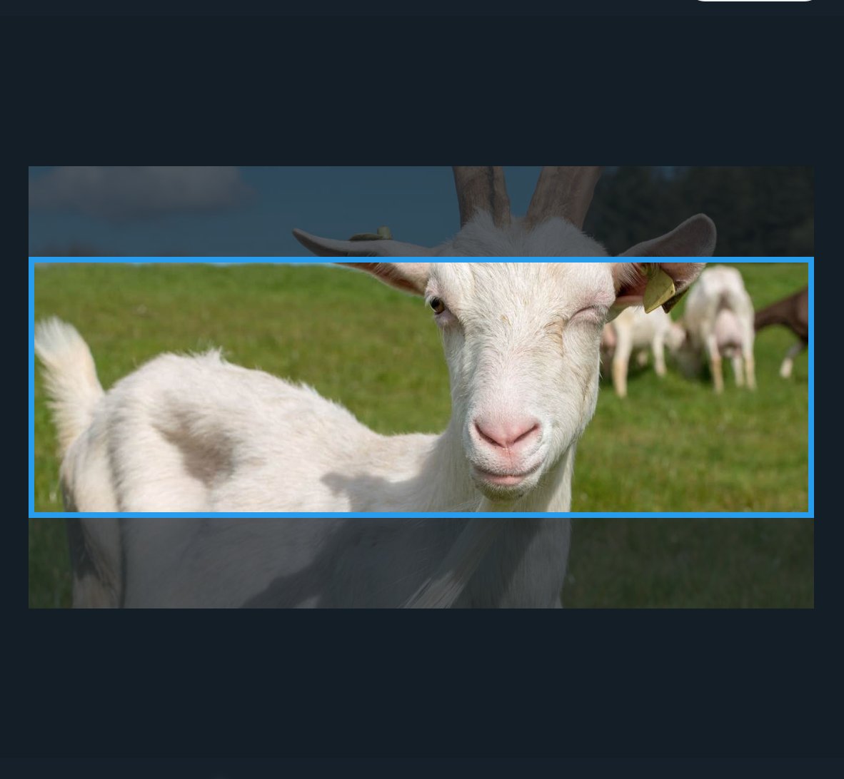 Do you know how to put this photo as a banner? We're going crazy.