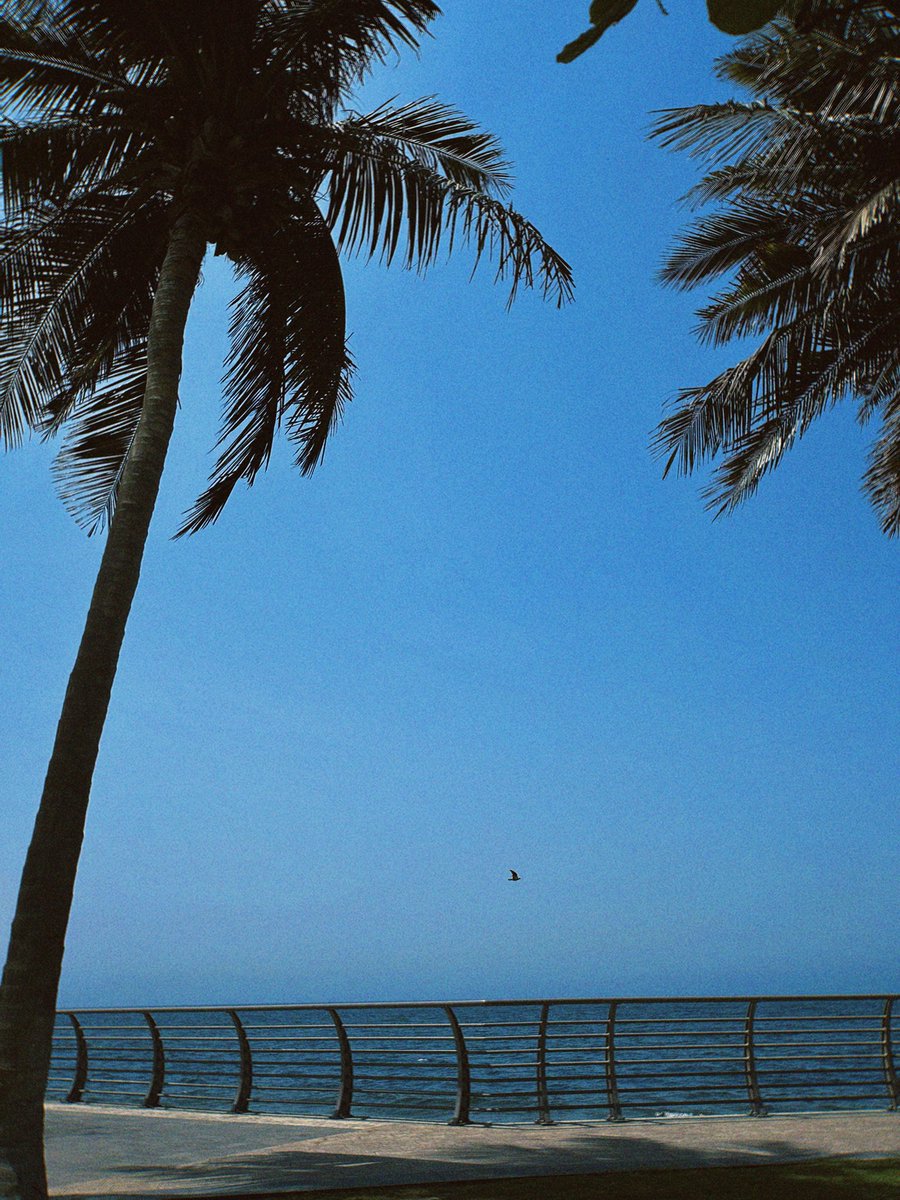 Hyz3's tweet photo. 🌊🤍 https://t.co/GjasCgxS5k